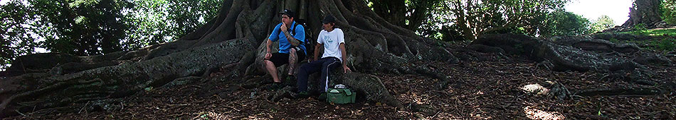 Disc Golf New Zealand Disc Golf New Zealand
