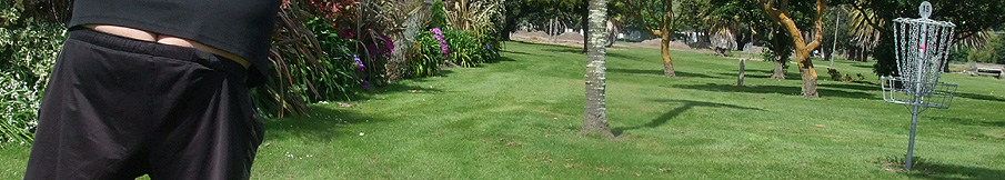 Disc Golf New Zealand Disc Golf New Zealand