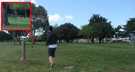 Disc Golf New Zealand