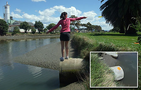 Disc Golf New Zealand Disc Golf New Zealand