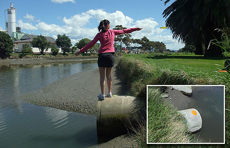 Disc Golf New Zealand