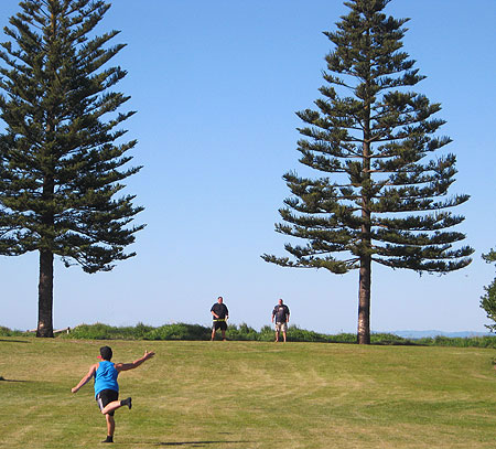 Disc Golf New Zealand