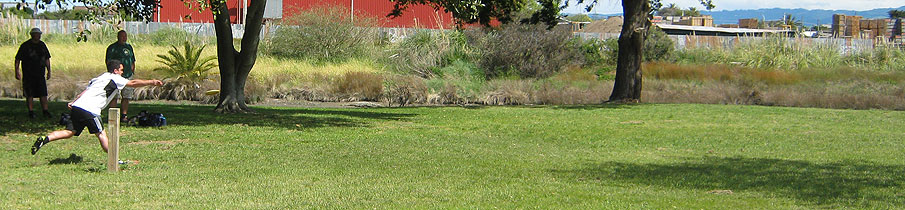 Disc Golf New Zealand