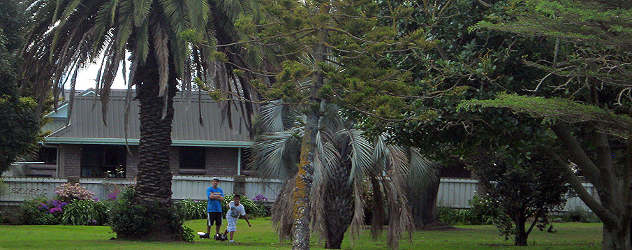 Disc Golf New Zealand