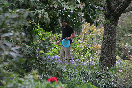 Disc Golf New Zealand