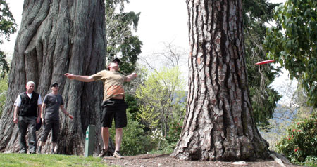 Disc Golf New Zealand