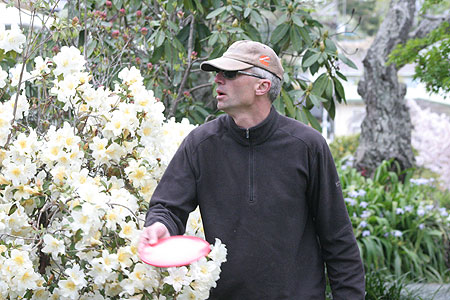 Disc Golf New Zealand Disc Golf New Zealand