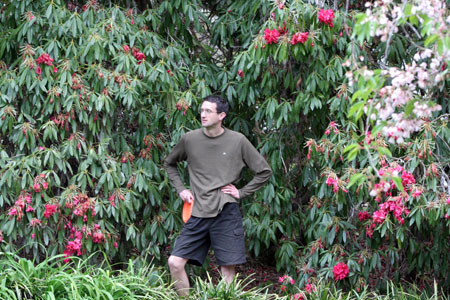 Disc Golf New Zealand Disc Golf New Zealand