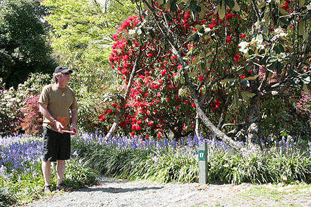 Disc Golf New Zealand