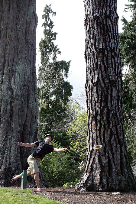 Disc Golf New Zealand