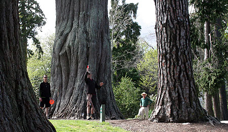 Disc Golf New Zealand