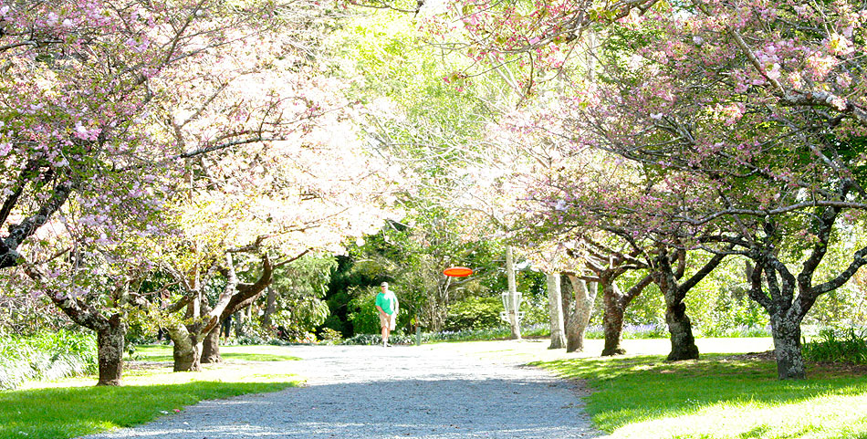 Disc Golf New Zealand Disc Golf New Zealand