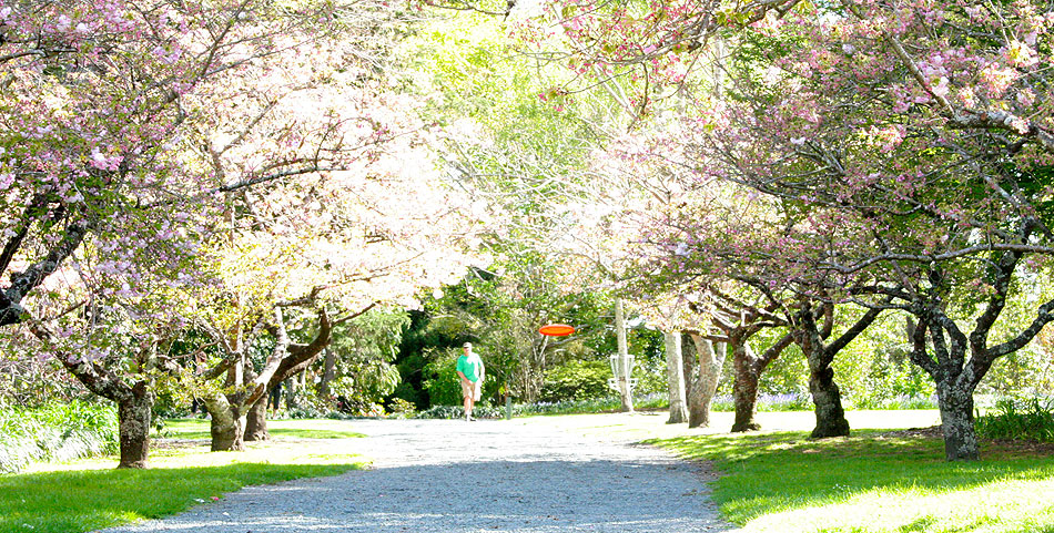 Disc Golf New Zealand