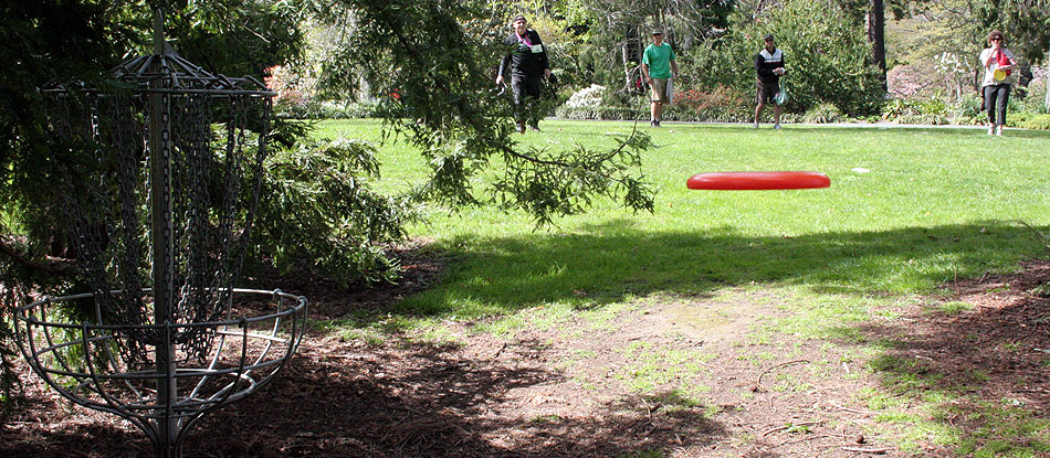 Disc Golf New Zealand Disc Golf New Zealand