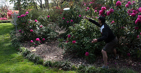 Disc Golf New Zealand Disc Golf New Zealand
