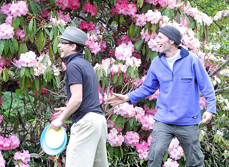 Disc Golf New Zealand Disc Golf New Zealand