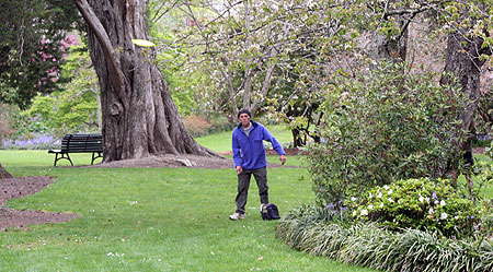 Disc Golf New Zealand