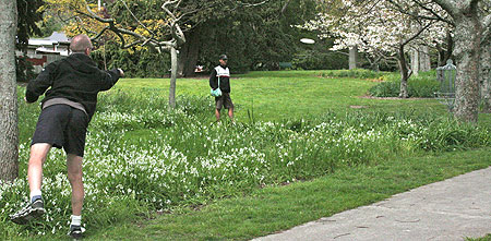 Disc Golf New Zealand