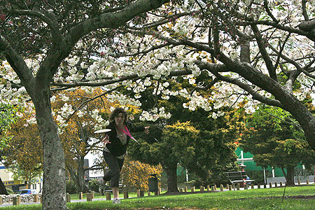 Disc Golf New Zealand