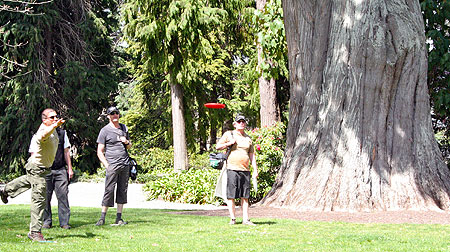 Disc Golf New Zealand Disc Golf New Zealand