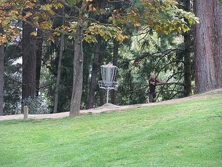 Disc Golf New Zealand