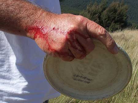 Disc Golf New Zealand Disc Golf New Zealand