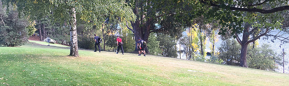 Disc Golf New Zealand Disc Golf New Zealand