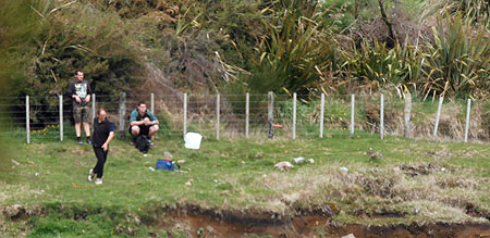 Disc Golf New Zealand