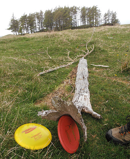 Disc Golf New Zealand