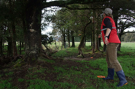 Disc Golf New Zealand Disc Golf New Zealand