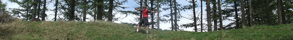Disc Golf New Zealand Disc Golf New Zealand