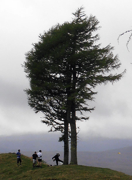 Disc Golf New Zealand