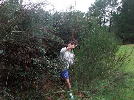 Disc Golf New Zealand Disc Golf New Zealand