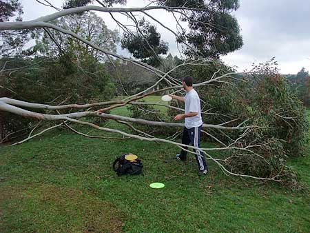 Disc Golf New Zealand