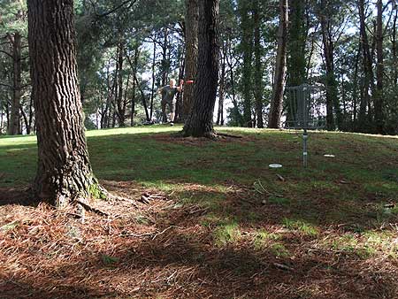 Disc Golf New Zealand