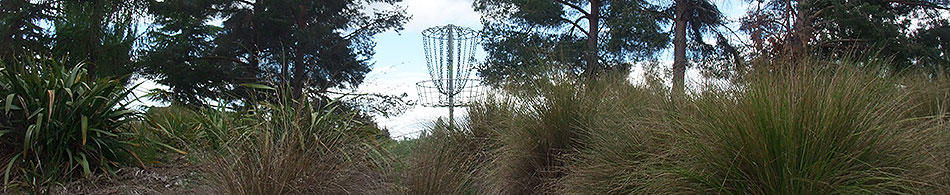 Disc Golf New Zealand