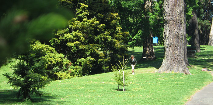 Disc Golf New Zealand Disc Golf New Zealand