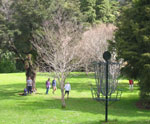 Disc Golf New Zealand