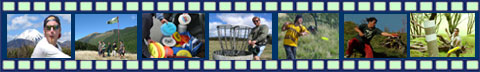 Disc Golf New Zealand