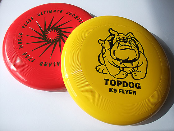 Disc Golf New Zealand