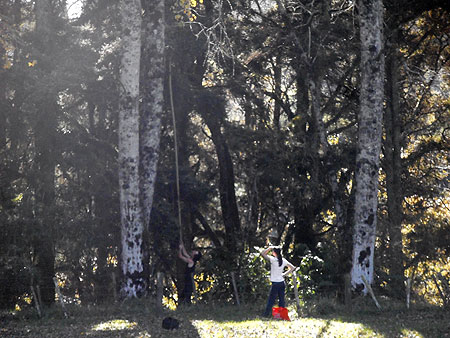 Disc Golf New Zealand