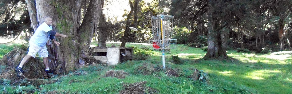 Disc Golf New Zealand