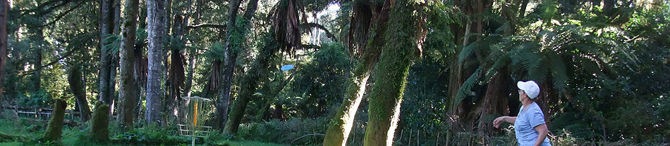 Disc Golf New Zealand