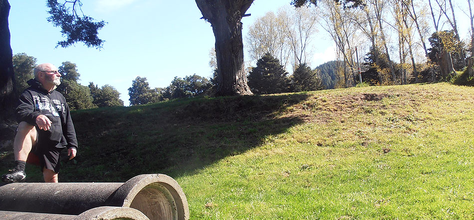 Disc Golf New Zealand