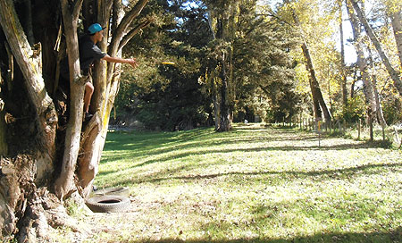 Disc Golf New Zealand