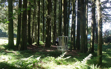 Disc Golf New Zealand