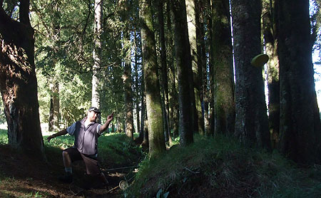 Disc Golf New Zealand