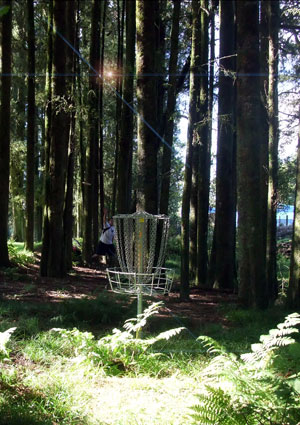 Disc Golf New Zealand