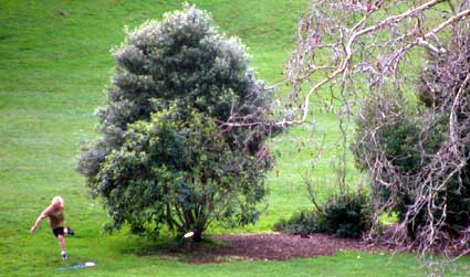 Disc Golf New Zealand