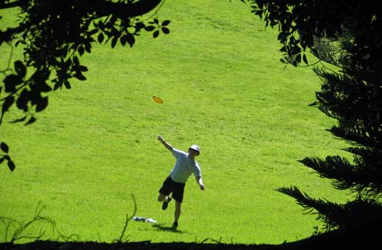 Disc Golf New Zealand